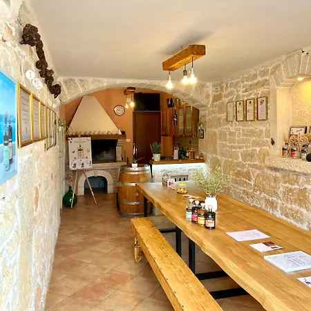 Stefano - Free Wine&spirit Tasting Διαμέρισμα Višnjan