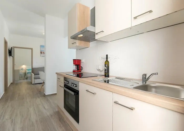 Stefano - Free Wine&spirit Tasting Visnjan