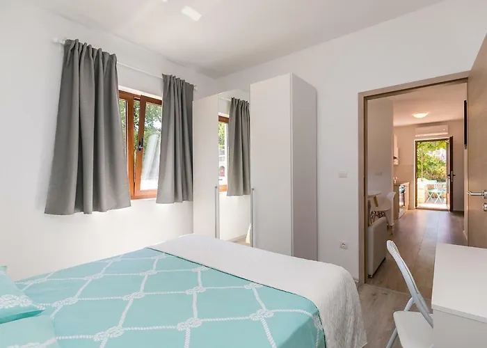 Stefano - Free Wine&spirit Tasting Visnjan